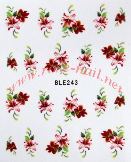 FG-BLE243 Nail Sticker