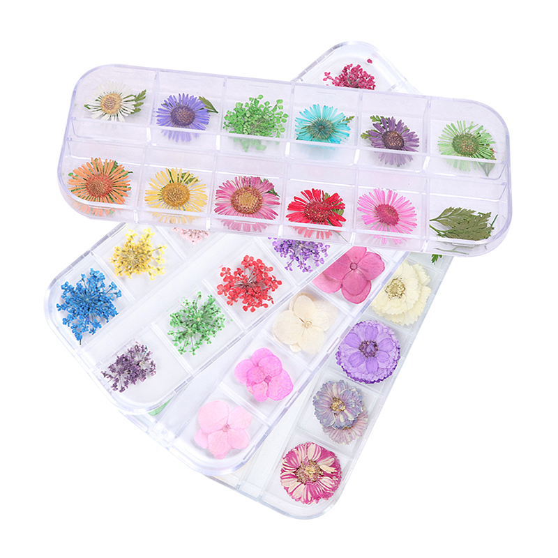 12-Block Dried Flowers Set-1