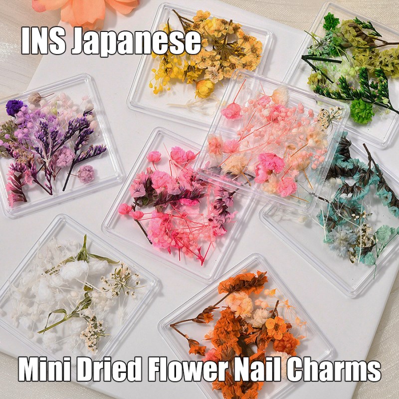RNDF-32 清新日系INS干花