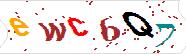 verification code
