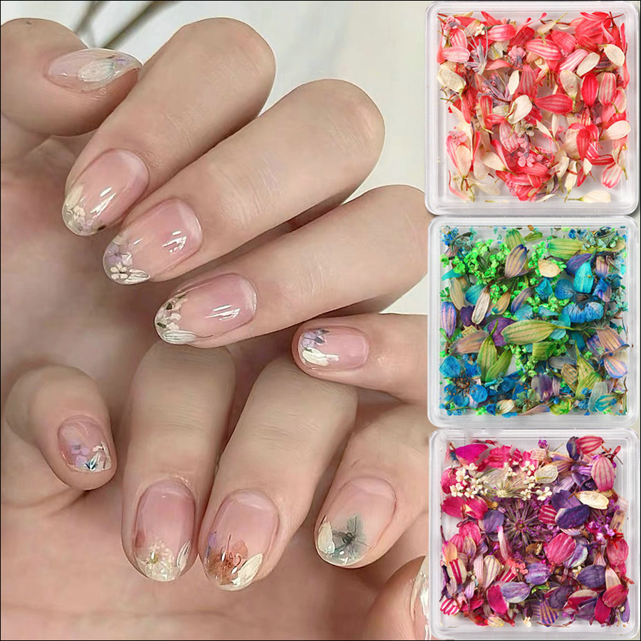 rndf-28 ins japanese monet garden oil painting color matching small petals mixed nail dried flower