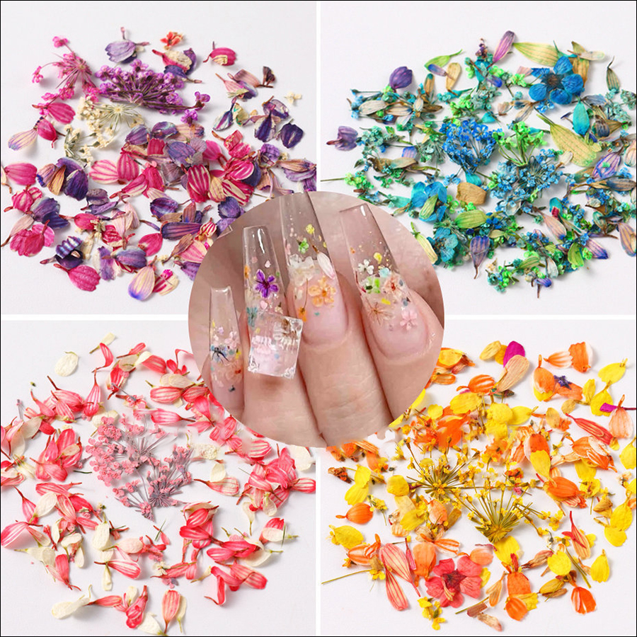 rndf-28 ins japanese monet garden oil painting color matching small petals mixed nail dried flower