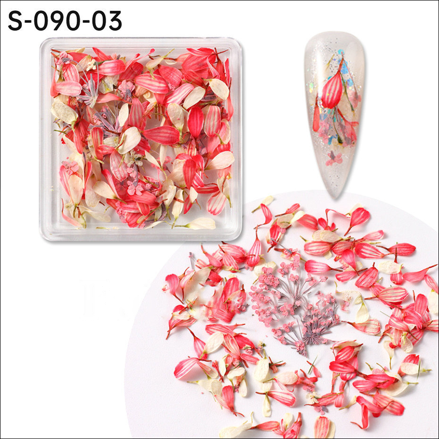 rndf-28 ins japanese monet garden oil painting color matching small petals mixed nail dried flower