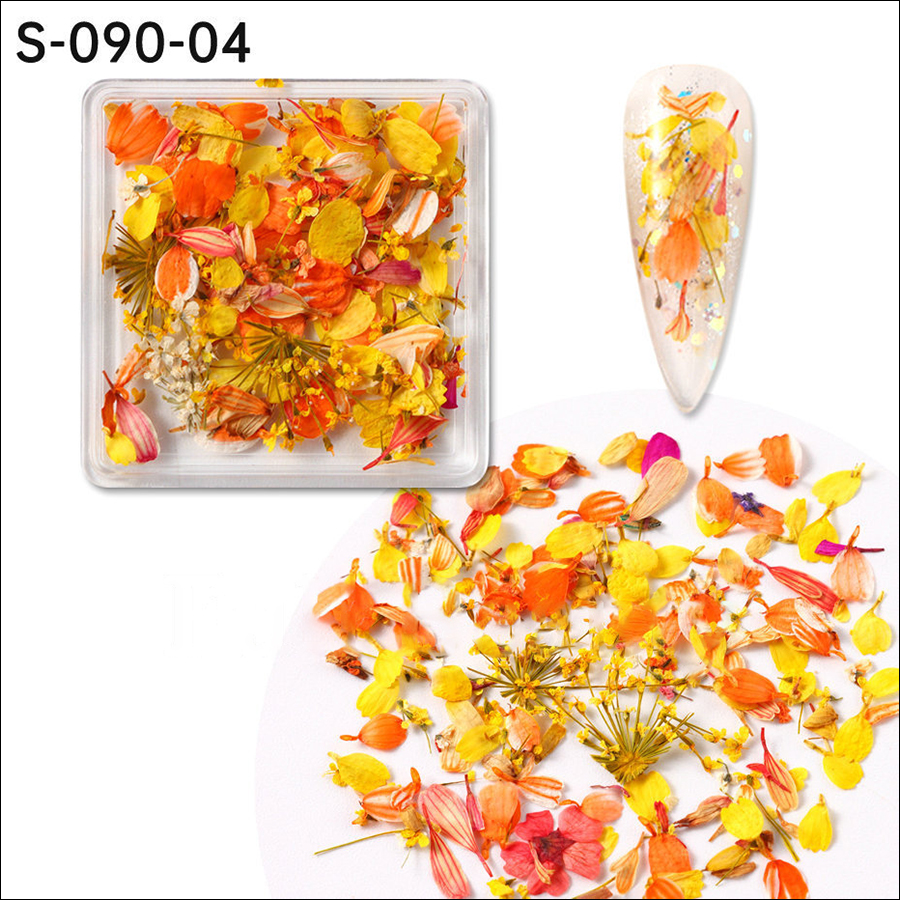 rndf-28 ins japanese monet garden oil painting color matching small petals mixed nail dried flower