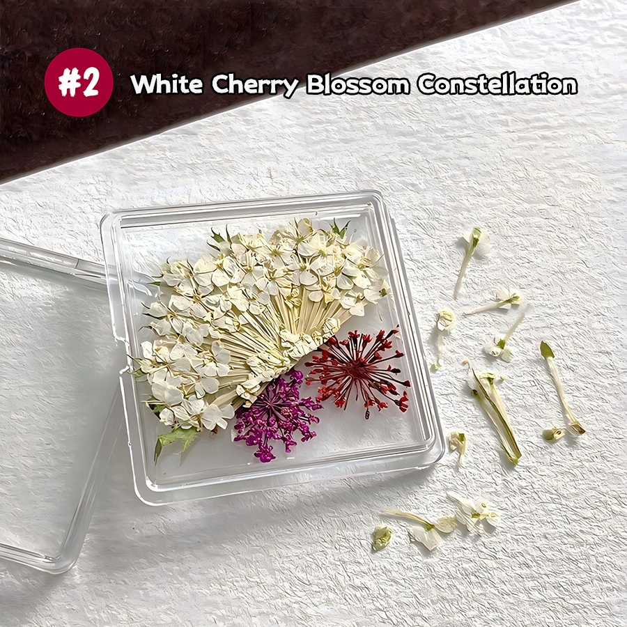 rndf-29 新款春日指尖花匣子