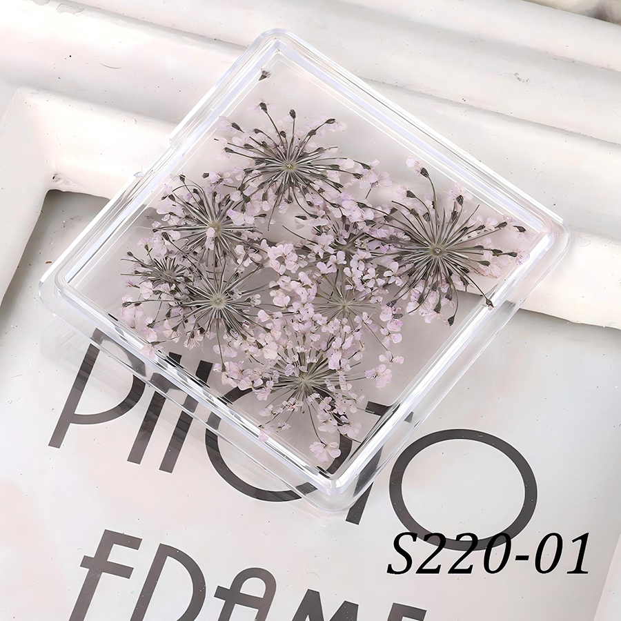 rndf-33 日系天然蕾丝干花饰品