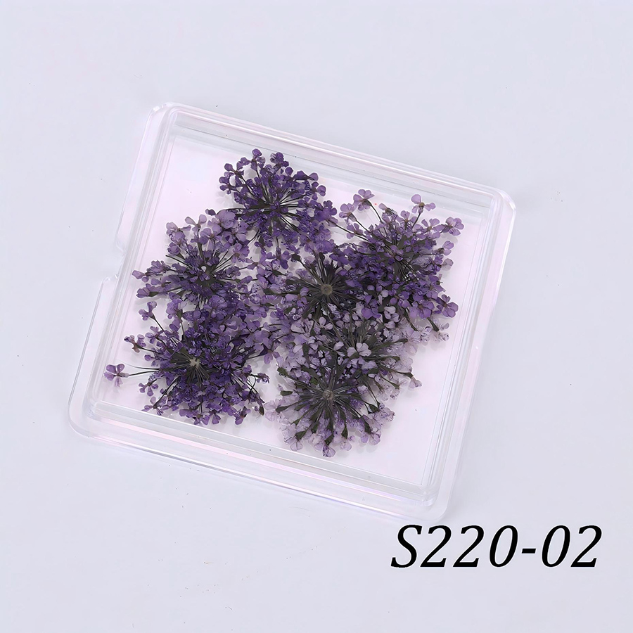 rndf-33 日系天然蕾丝干花饰品