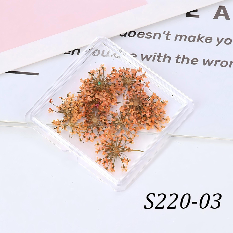 rndf-33 日系天然蕾丝干花饰品