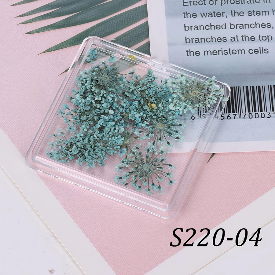 rndf-33 日系天然蕾丝干花饰品