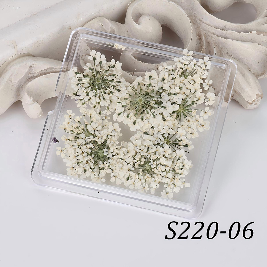 rndf-33 日系天然蕾丝干花饰品