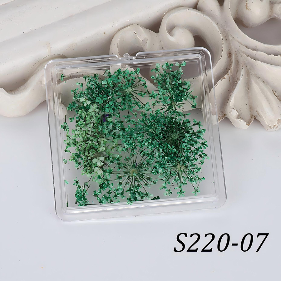rndf-33 日系天然蕾丝干花饰品