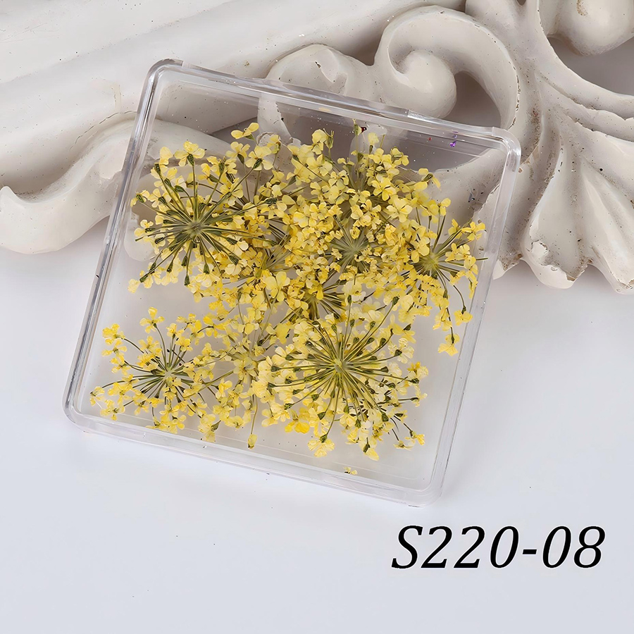 rndf-33 日系天然蕾丝干花饰品