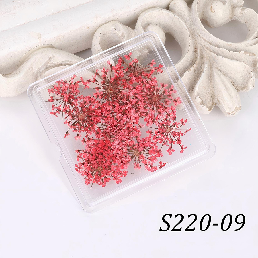 rndf-33 日系天然蕾丝干花饰品