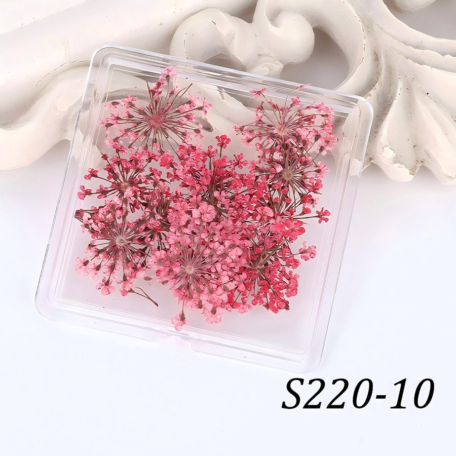 rndf-33 日系天然蕾丝干花饰品