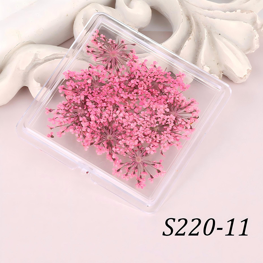 rndf-33 日系天然蕾丝干花饰品