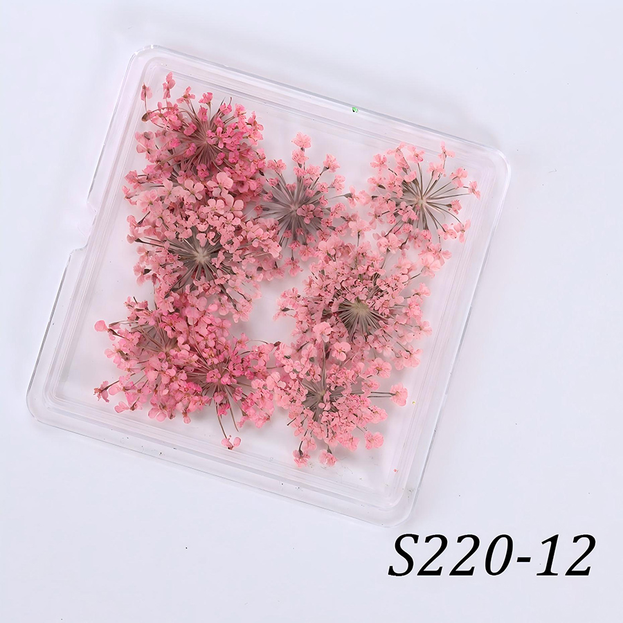 rndf-33 日系天然蕾丝干花饰品