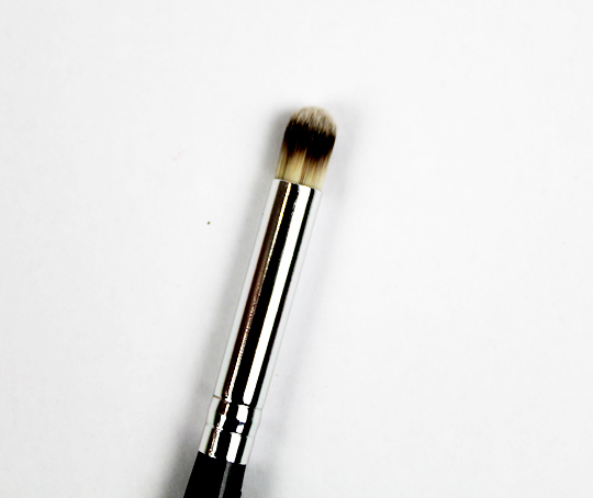 nail art brush