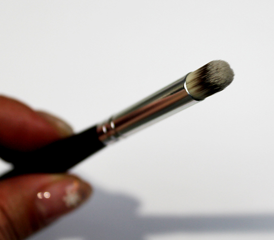 nail art brush