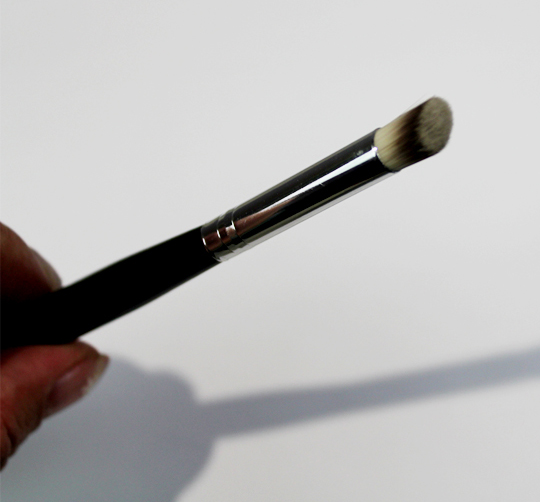 nail art brush