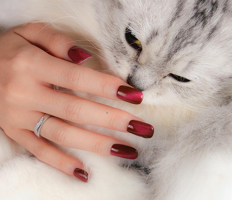 magnetic cat-eye polish gel