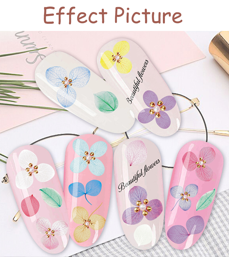 flower petals sticker