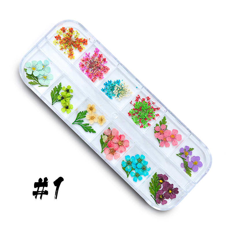 12-block dried flowers set-2