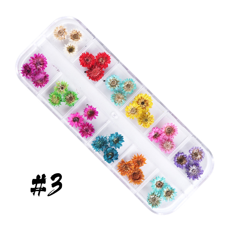 12-block dried flowers set-2