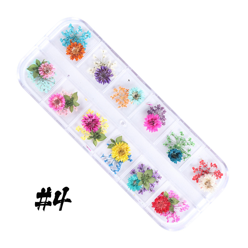 12-block dried flowers set-2