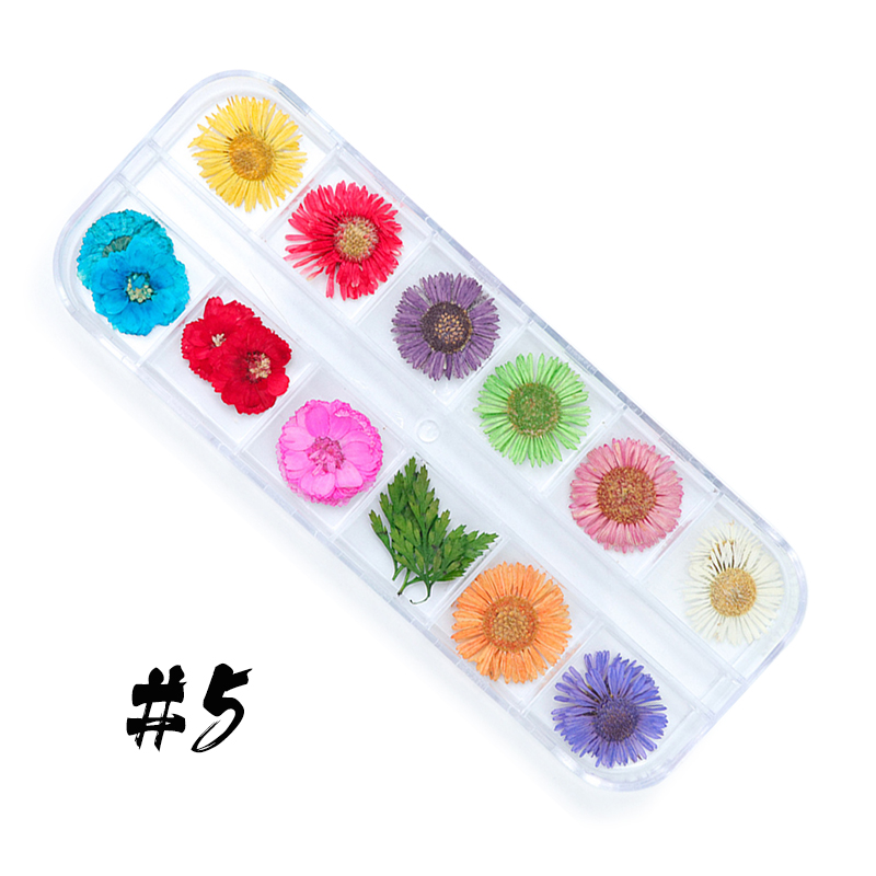 12-block dried flowers set-2