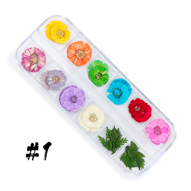 12-block dried flowers set-1