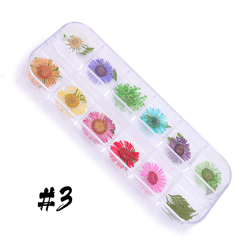 12-block dried flowers set-1