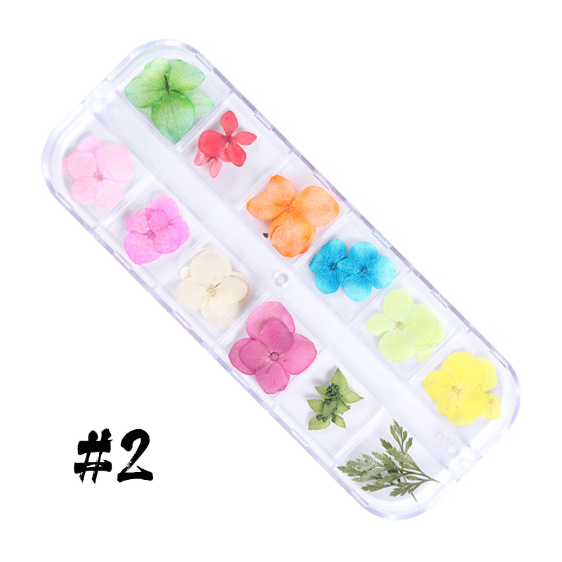 12-block dried flowers set-1