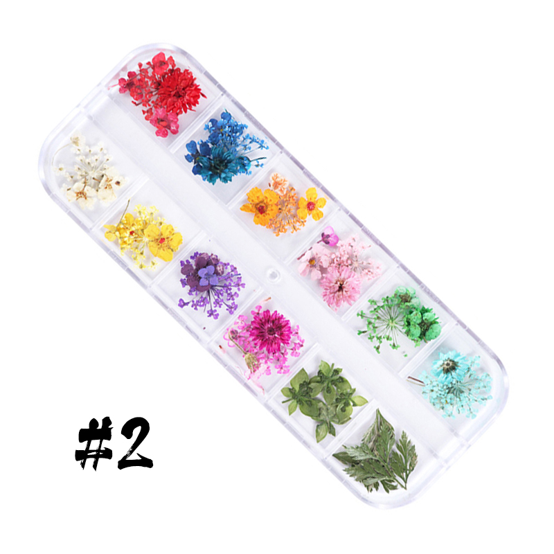 12-block dried flowers set-3