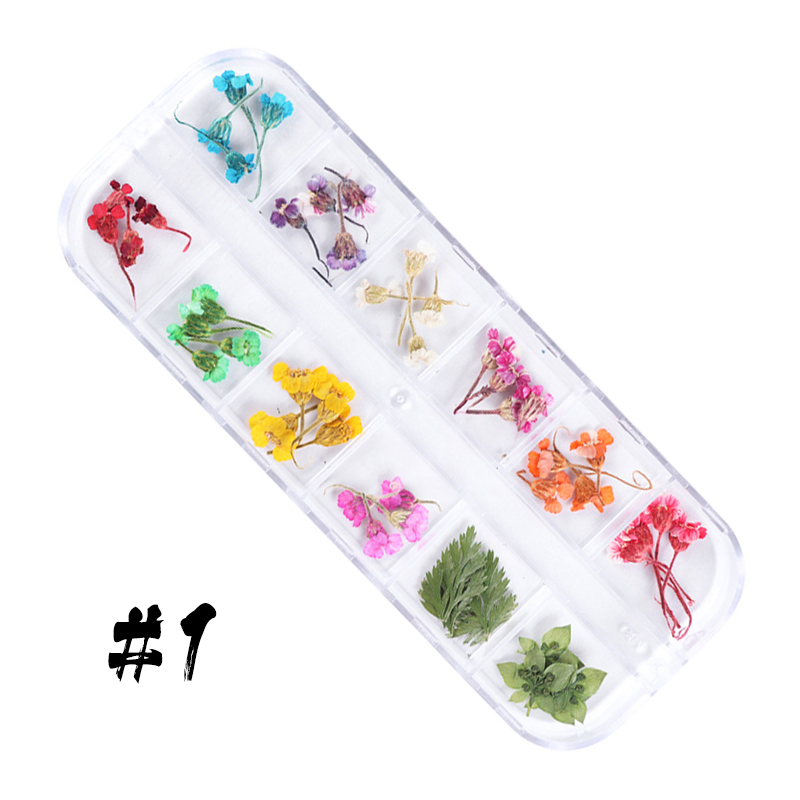 12-block dried flowers set-3